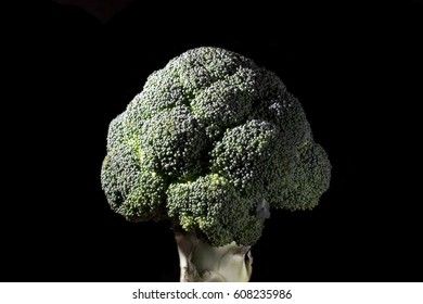 Broccoli on a black background